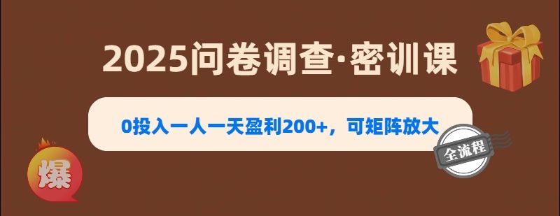 2025《问卷调查》0投入一人一天盈利200+，可矩阵放大