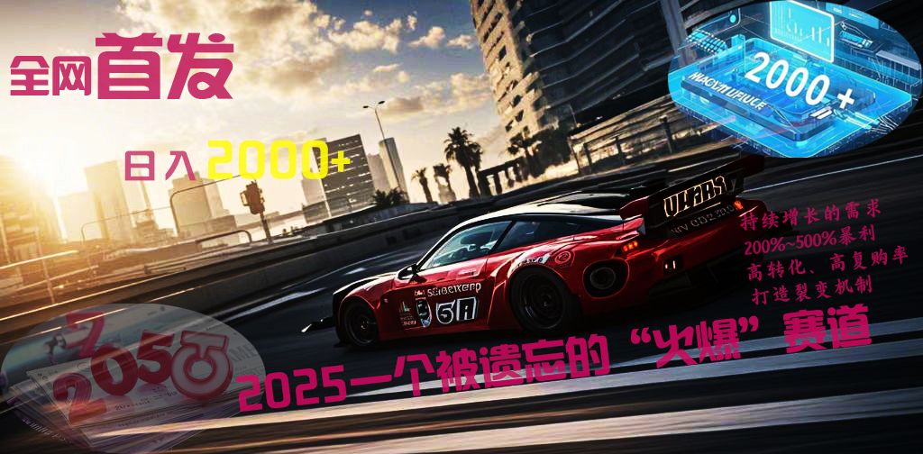 全网首发：2025一个被遗忘的“火爆”赛道轻松日入2000+