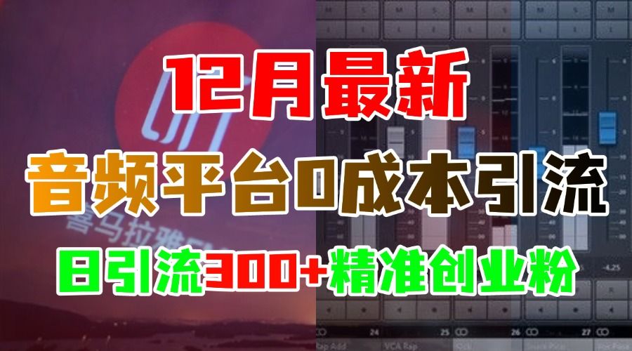 12月最新:音频平台0成本引流,日引300+精准创业粉