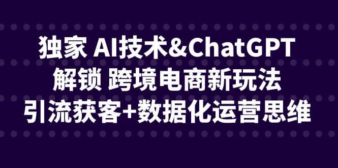独家 AI技术ChatGPT解锁 跨境电商新玩法,引流获客+数据化运营思维