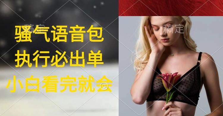 执行就出单,日入2000+,超火骚气语音包,小白看完课程就能马上实操