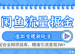 咸鱼配合全网项目库-流量掘金虚拟变现新玩法,精准引流变现2W+