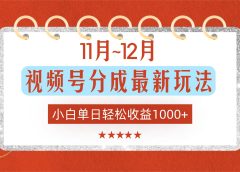 11月~12月视频号分成最新玩法,小白单日轻松收益1000+!