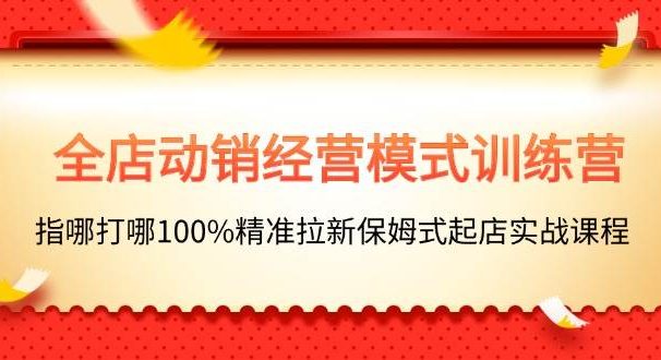 全店动销-经营模式训练营，指哪打哪100%精准拉新保姆式起店实战课程