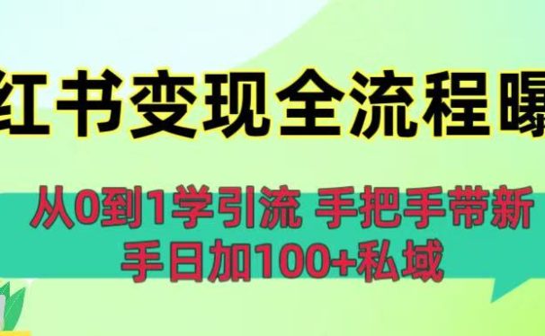 从0到1学引流：小红书变现全流程曝光，手把手带新手日加100+私域