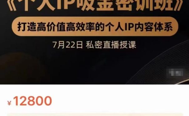 个人IP吸金密训班，打造高价值高效率的个人IP内容体系（价值12800元）