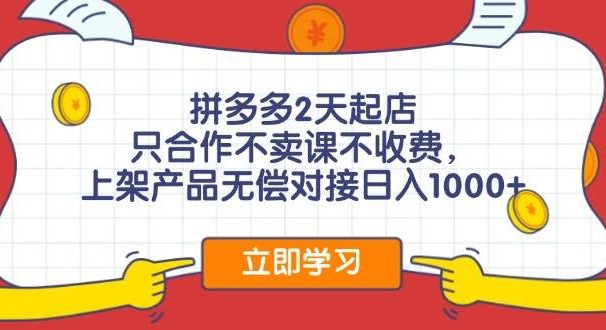 拼多多2天起店，只合作不卖课不收费，上架产品无偿对接日入1000+