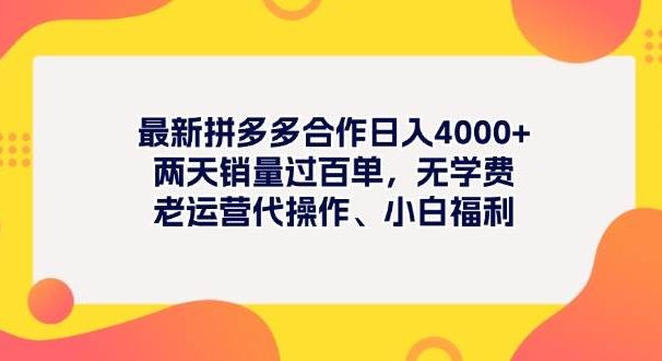 最新拼多多项目日入4000+两天销量过百单，无学费、老运营代操作、小白福利