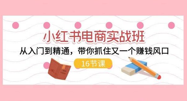 小红书电商实战班，从入门到精通，带你抓住又一个赚钱风口（16节）