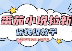 番茄小说拉新,保姆级教程,小白也可以日入三位数【下面那个简介错了】