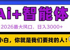 2026最大风口,AI+智能体日入3000+