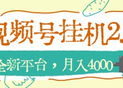 视频号挂机2.0玩儿法,全新平台,月入4000+