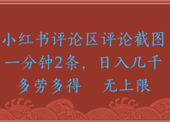 评论截图项目,小红书评论区评论截图一分钟2条,日入几千无上限-多劳多得