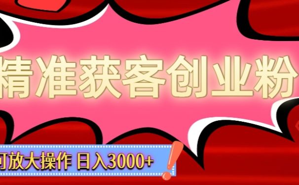 精准获客创业粉轻松变现,操作简单可放大,单日轻松3000+