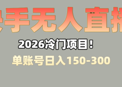 上班摸鱼搞副业？快手无人直播挂机，轻松赚零花钱
