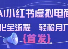 AI小红书虚拟电商  标准化全流程 轻松月入过万