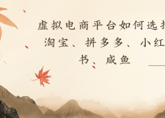 虚拟电商平台,该从哪个平台入手(淘宝、拼多多、小红书)全攻略日入1000!