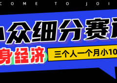 小众流量掘金,三个人一月小10W