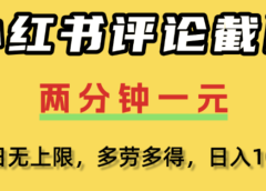 小红书评论区评论截图,一分钟2条,日入几千,多劳多得!